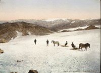 Fire menn og to hester på isbreen Folgefonna.