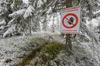 Adgang forbudt skilt i en skog ved siden av en sti med et dryss av snø.